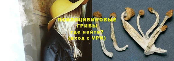 дмт Абинск