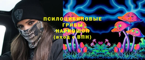 тгк Алексин