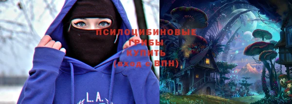 стафф Алексеевка